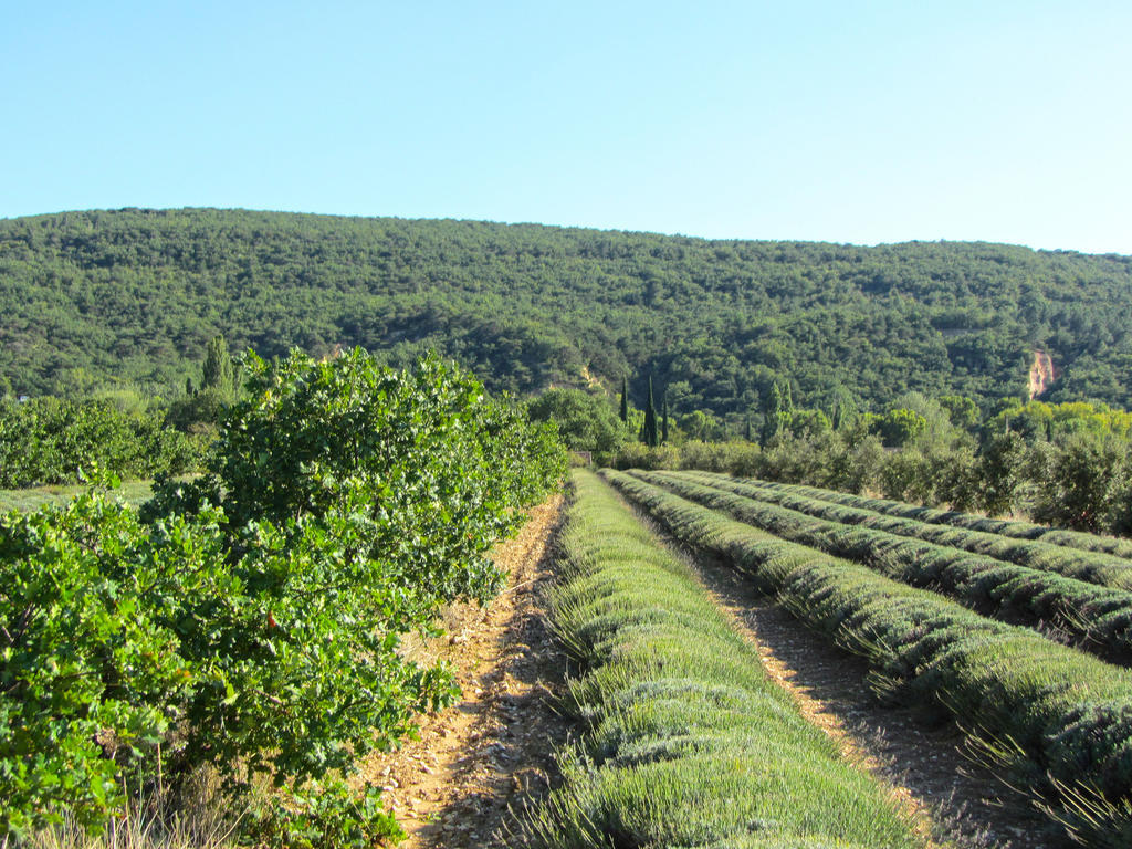 Gites De La Croix Du Gres (Adults Only) Valaurie Екстер'єр фото