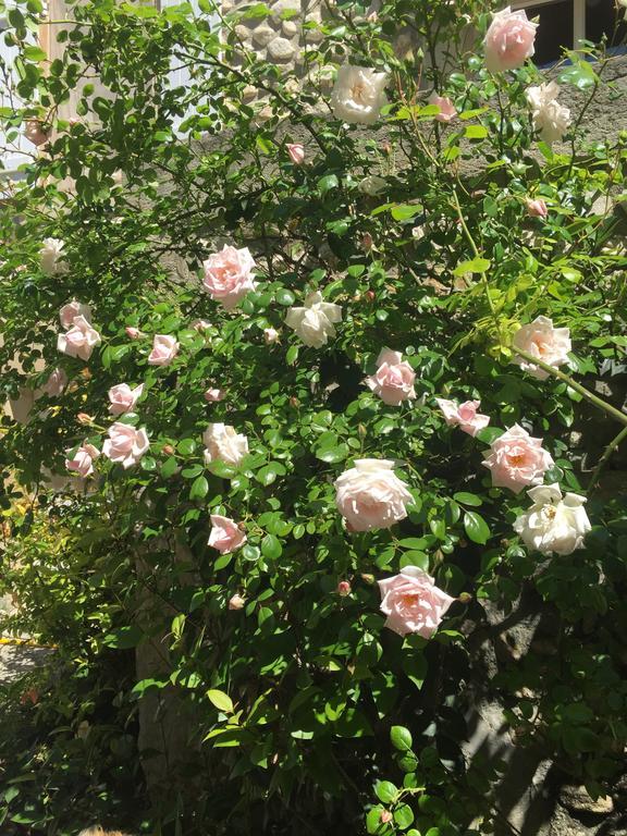 Gites De La Croix Du Gres (Adults Only) Valaurie Екстер'єр фото